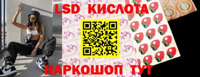 spice Кулебаки