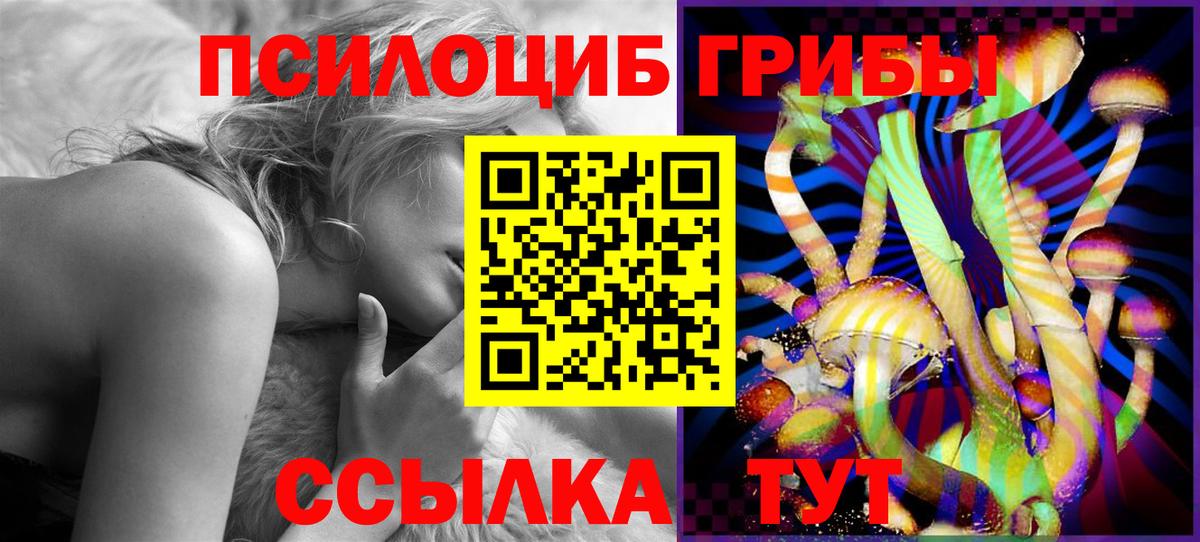 Галлюциногенные грибы Magic Shrooms  Вход с VPN  Унеча 