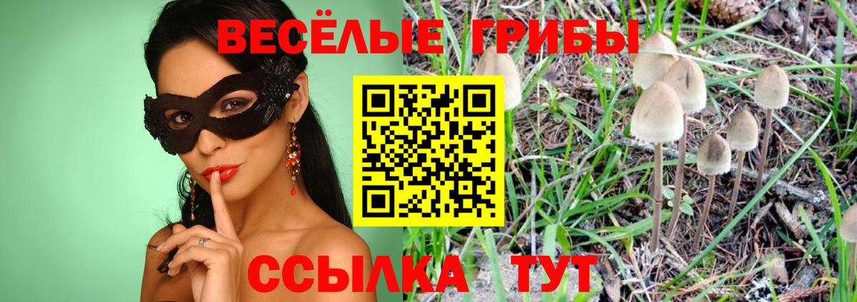 Галлюциногенные грибы прущие грибы Унеча